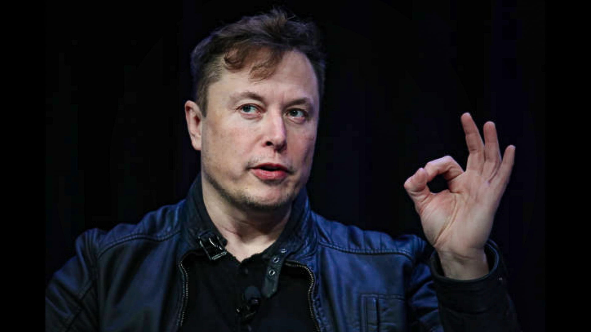 Elon Musk believes it is important to have a knowledge base to be successful