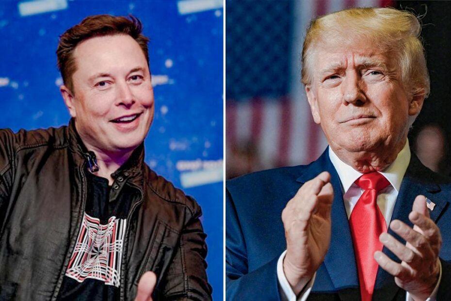 Elon Musk reinstates Trump's Twitter account