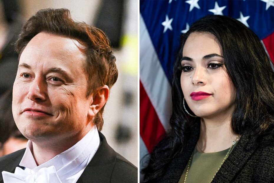 The House member who received Elon Musk's first vote for a Republican lost her seat after only 5 months
