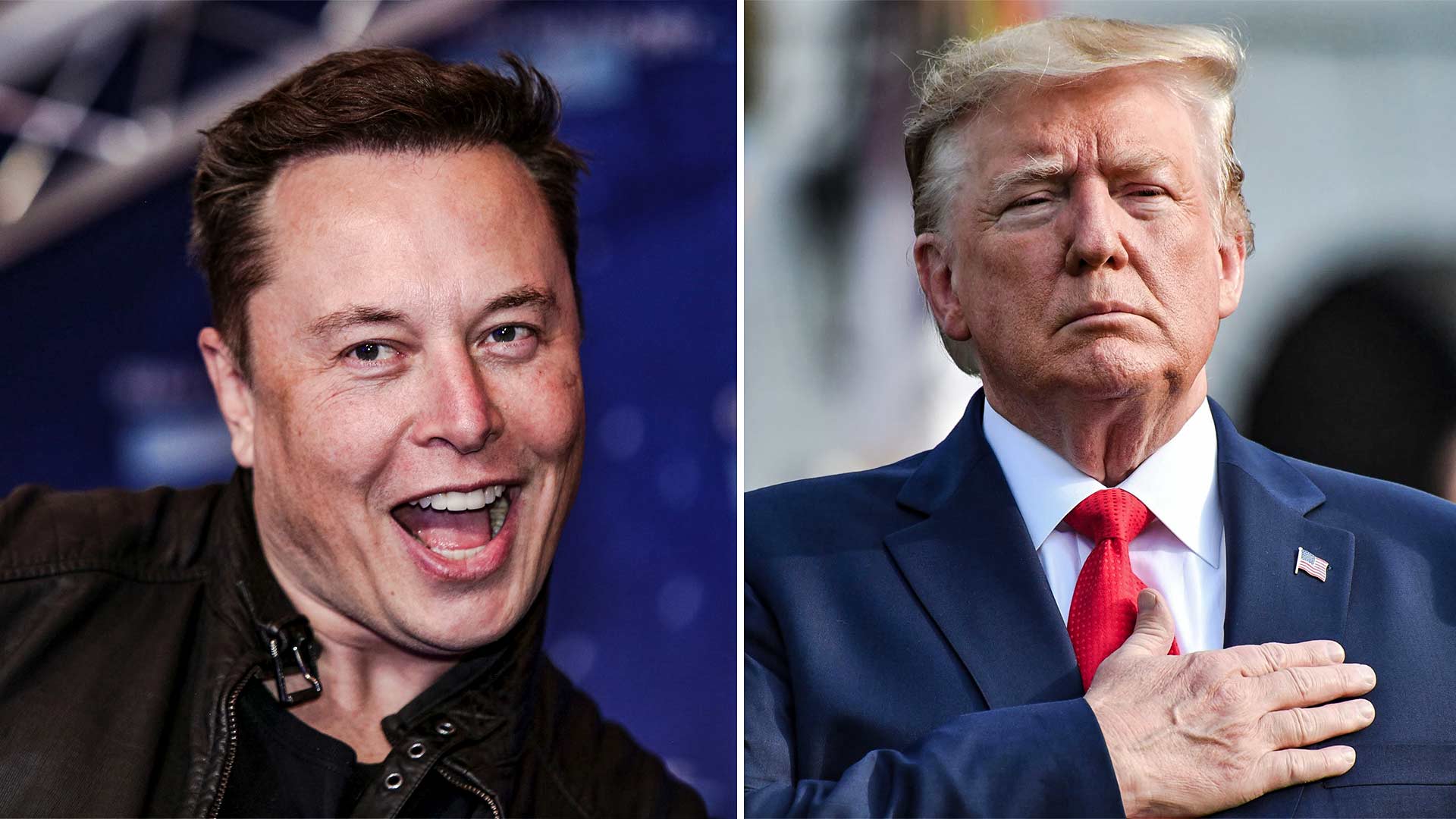 Elon Musk Says Trump Didn't Violate Twitter's Rules. The Truth Is More ...