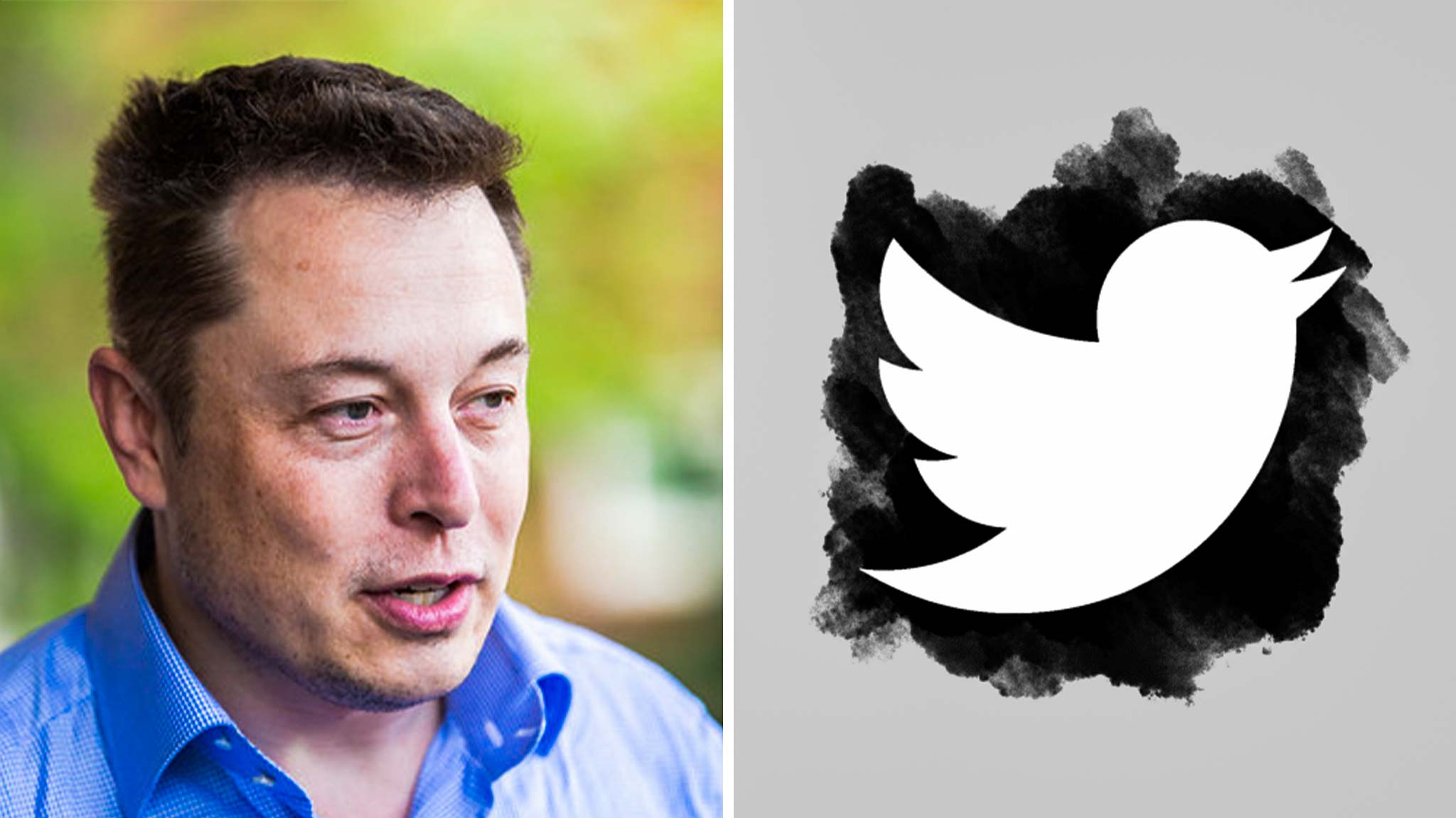 Elon Musk is tweeting about basically everything apart from the poll where users said he should give up control of Twitter