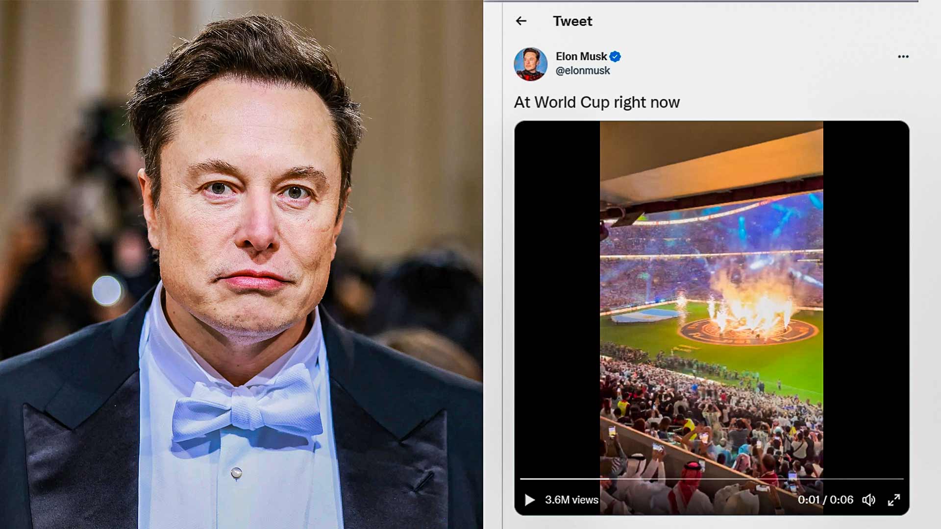 Elon Musk Makes Surprise Appearance at World Cup Final Amid Controversies