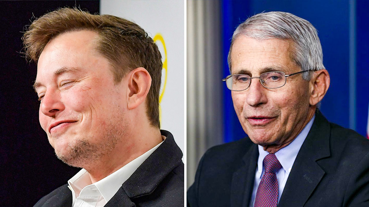 Elon Musk Tweets ‘My Pronouns Are Prosecute/Fauci,’ Here’s The Response