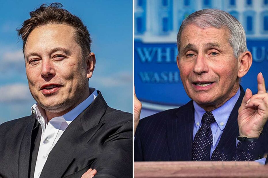Elon Musk Exposes Anthony Fauci’s Cozy Working Relationship With Wife