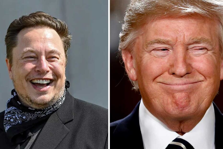 Donald Trump joked that "a man like Elon should be handled".