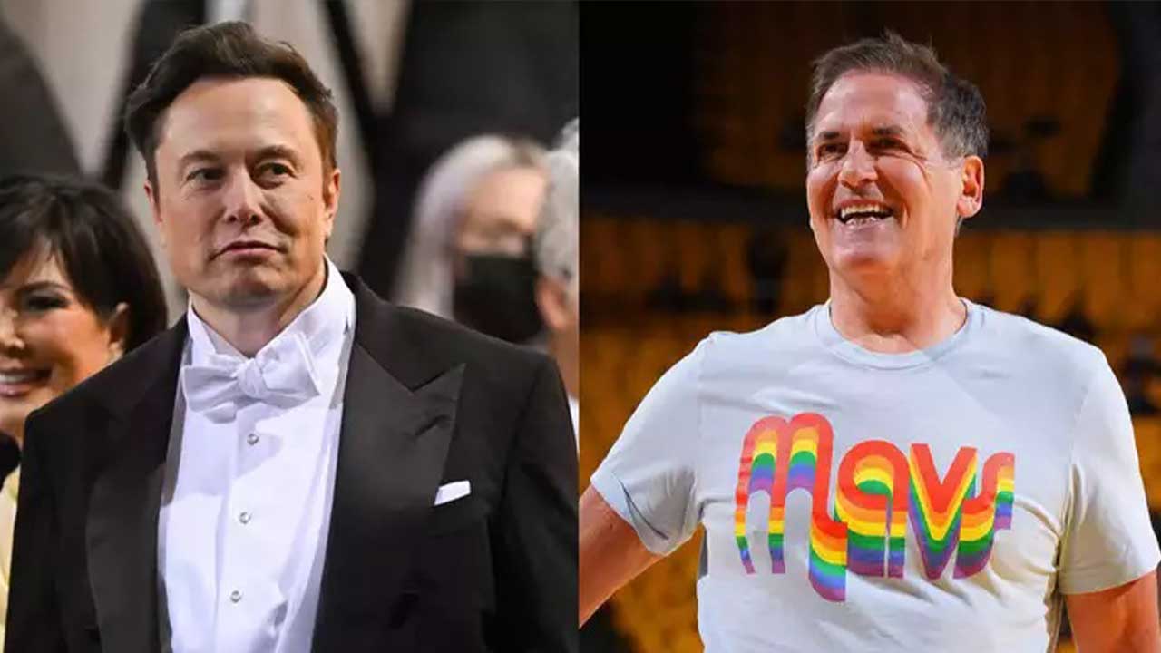 Mark Cuban tells Elon Musk he's losing up to 1,000 followers a day despite paying for Twitter Blue