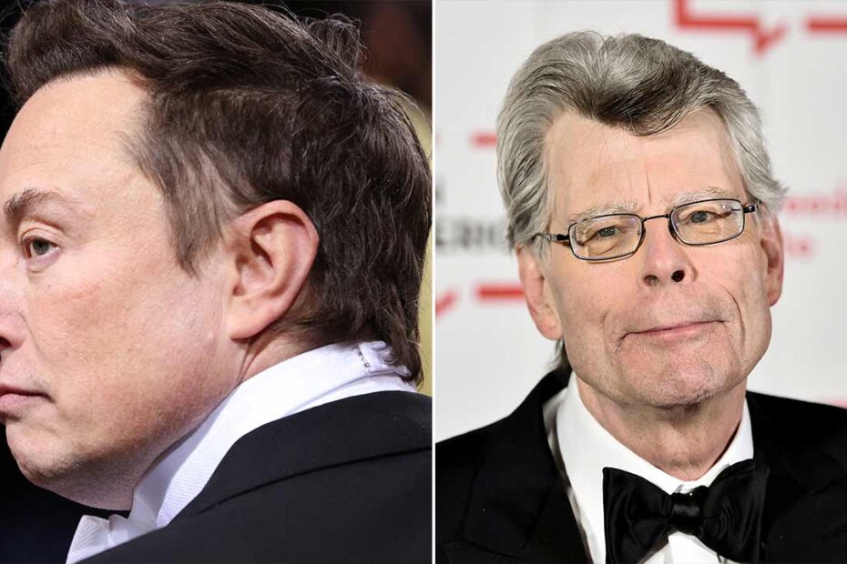Stephen King suggests Elon Musk to transfer money for his blue checkmark to Prytula Charity Foundation