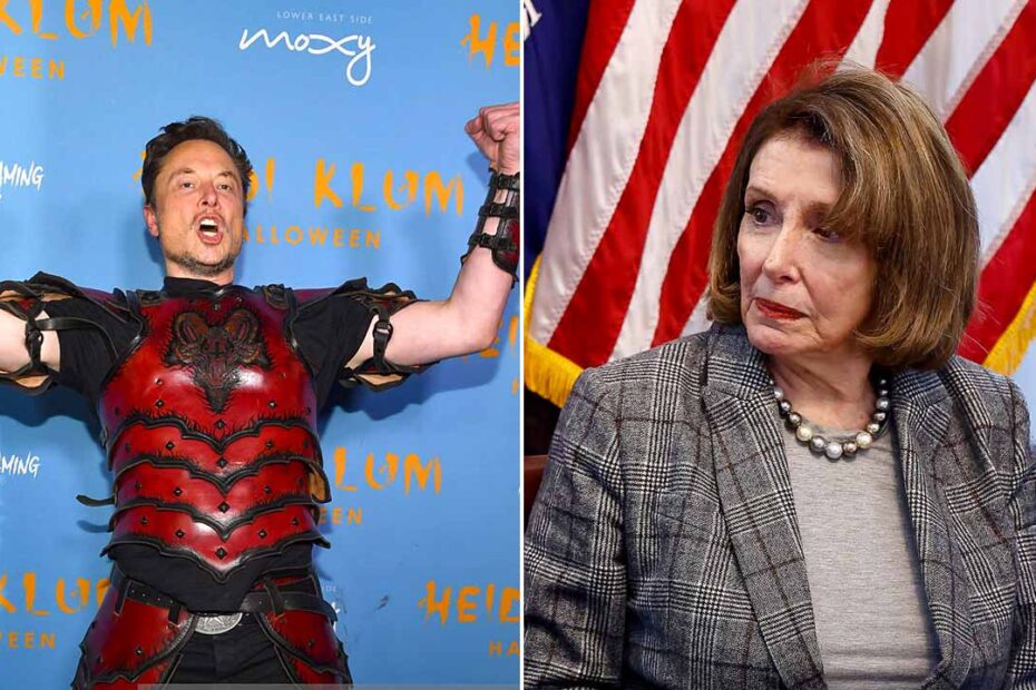 Elon Musk made some bold claims about Nancy Pelosi's alleged corruption