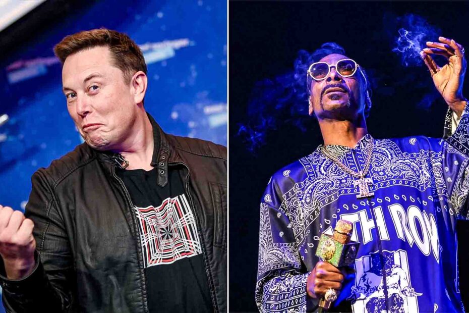 Elon Musk Supports Snoop Dogg In Quitting Smoking