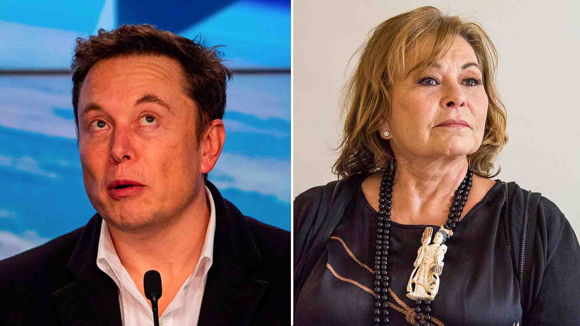 Roseanne Barr Invites Elon Musk For Weekly Segment On Her New Show