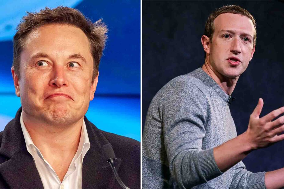 Elon Musk's Grand Plan to Turn Mark Zuckerberg from a Billionaire to a Millionaire