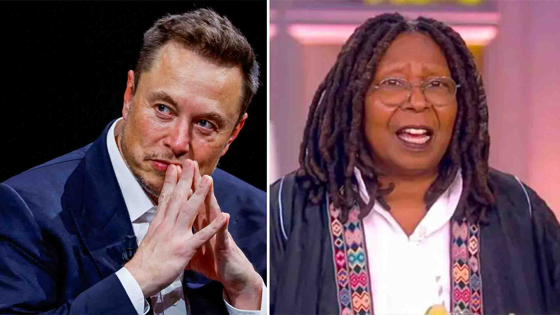 Whoopi Goldberg Apologizes To Elon Musk After The View's Ratings Drop 70%