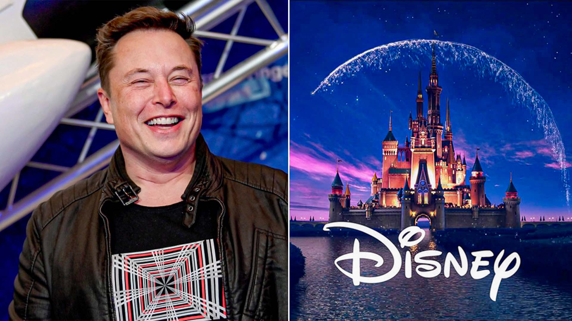 Elon Musk Has Just Hinted That He Is Going To Buy Disney