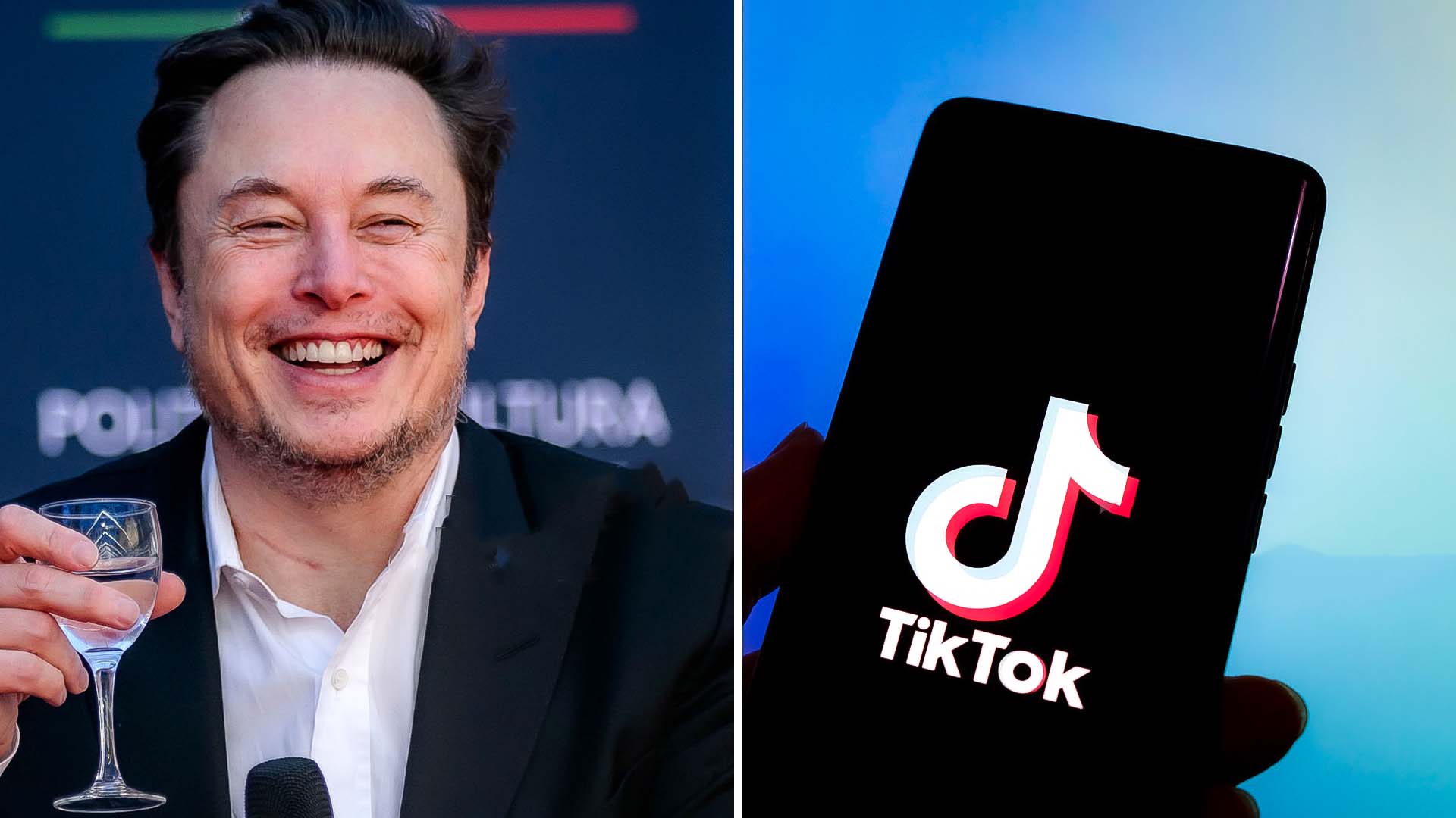 Could Elon Musk Acquire TikTok? China Considers Sale Options