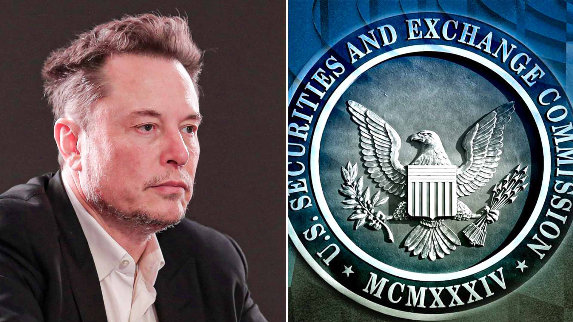 SEC Sues Elon Musk for Late Twitter Stock Disclosure