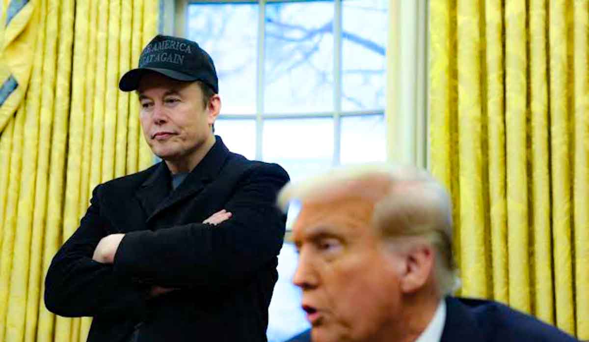 Spacex ceo Elon Musk & America President Donald Trump