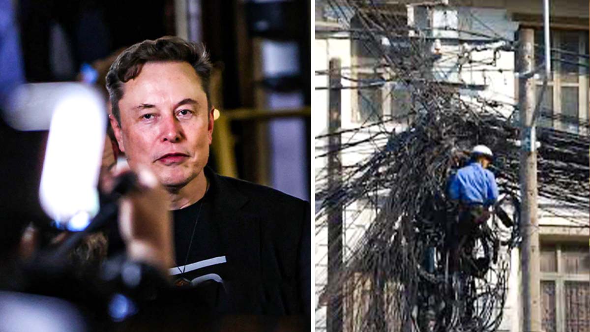 Elon Musk said that fixing a tangle of wires and government computer systems is complex