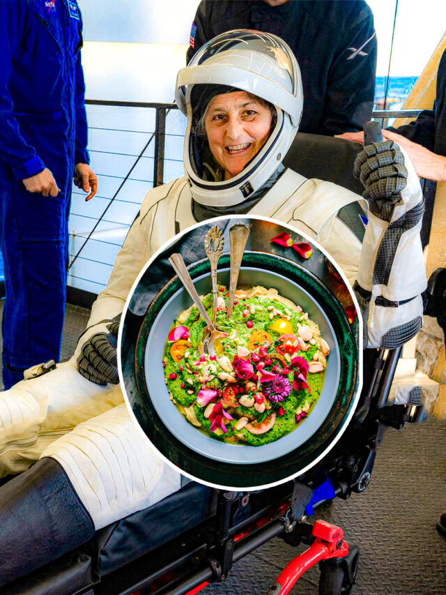 What Can NASA Astronauts Eat in Space?