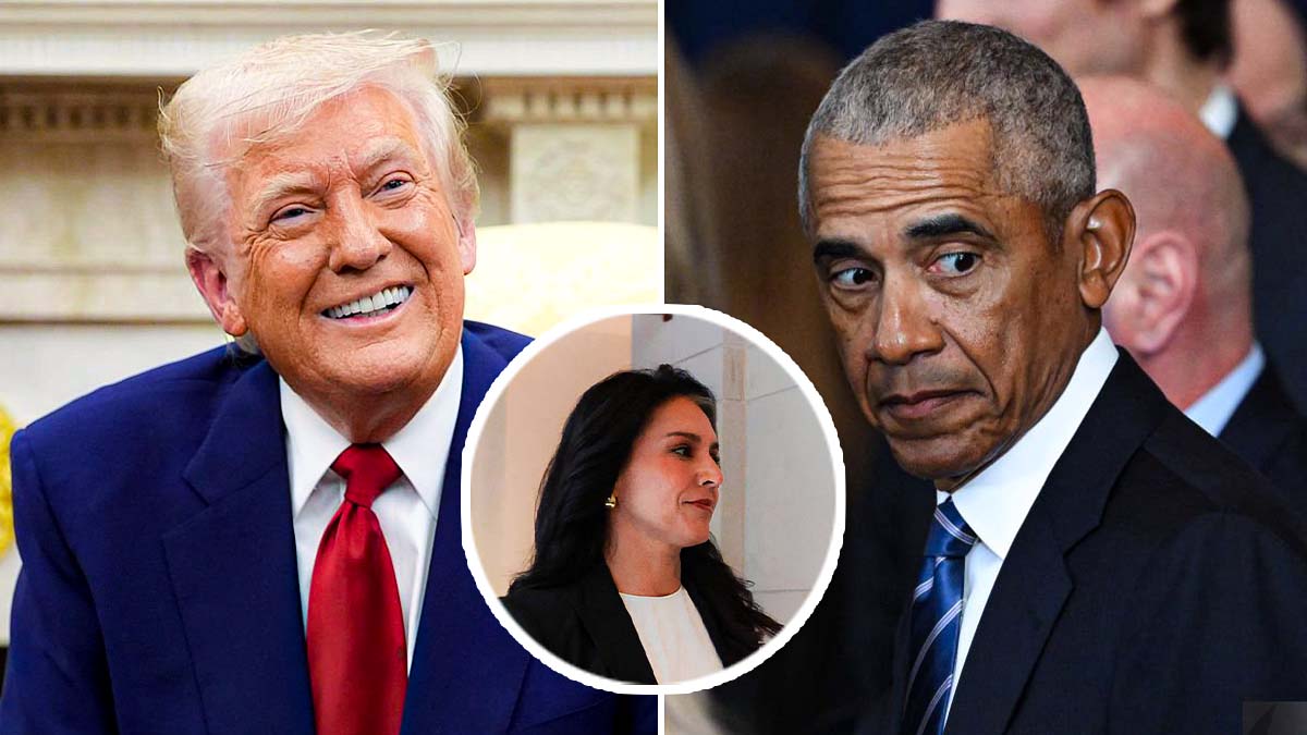 Trump Backs Gabbard's Call to Prosecute Obama Over Alleged 2016 Election Fraud